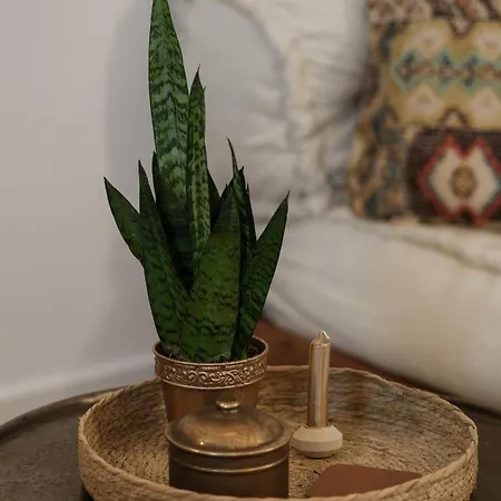 Apartamento Spakoje - Ihre Kleine Wellnessoase In Der Pfalz *