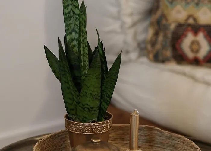 דירה Spakoje - Ihre Wellness-Auszeit In Der Pfalz Mit Privatem Whirlpool Und Sauna *